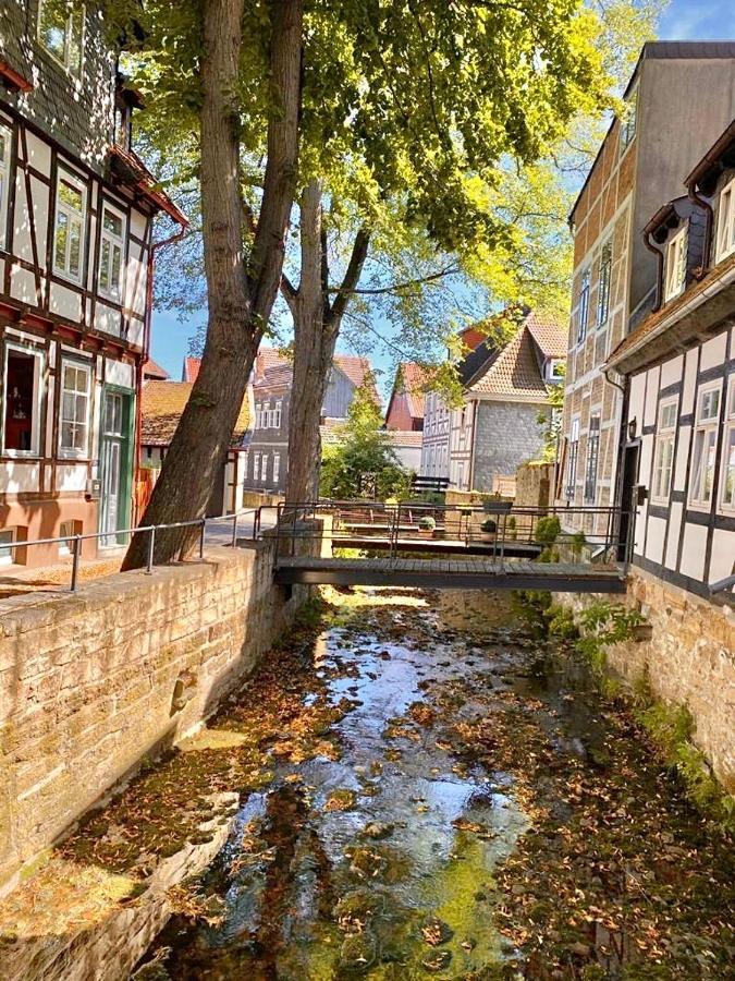 Ferienhaus Zur Abzuchtinsel Goslar Ngoại thất bức ảnh
